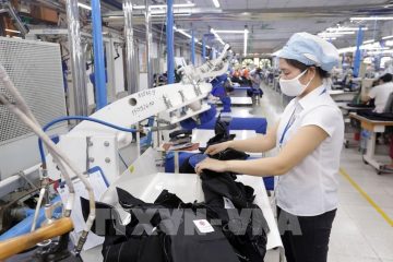 Sản xuất dệt may Việt Nam